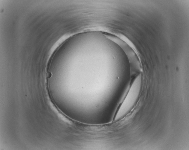 X0000066001005200603172200