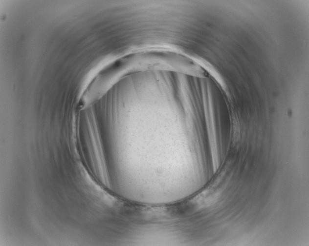 X0000066001006200603172200