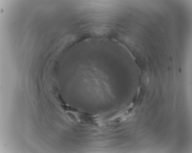 X0000066001009200603172200