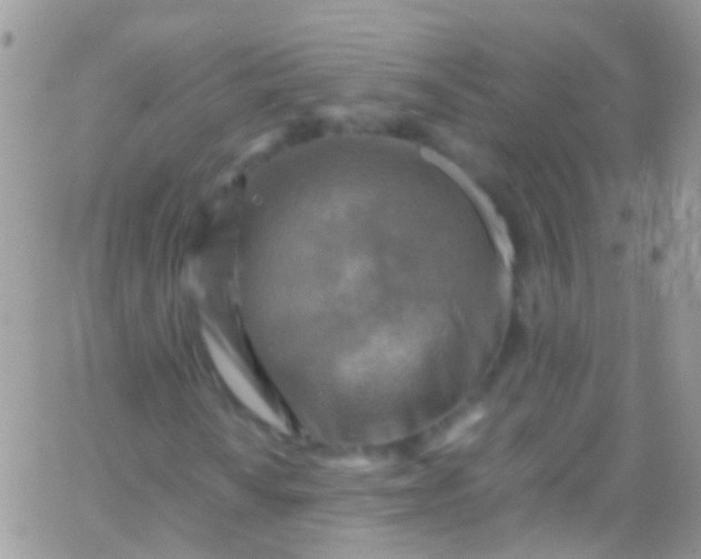 X0000066001010200603172200