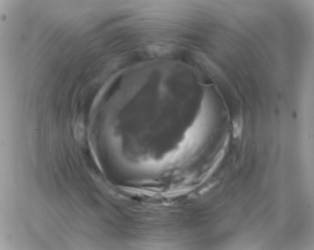 X0000066001011200603172200