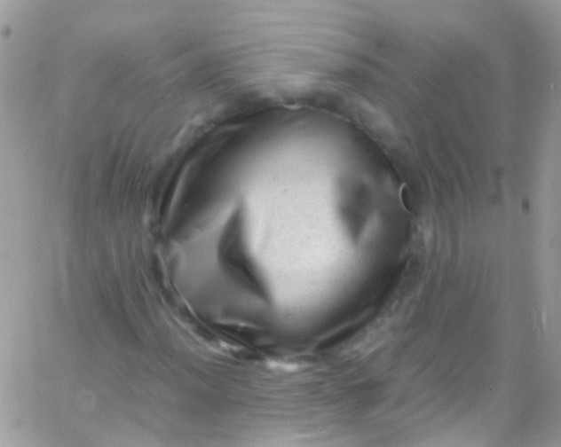 X0000066001012200603172200