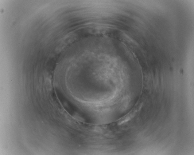 X0000066001013200603172200