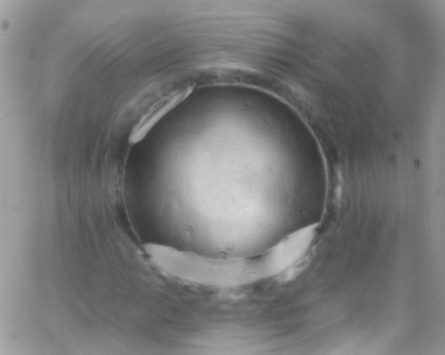 X0000066001014200603172200