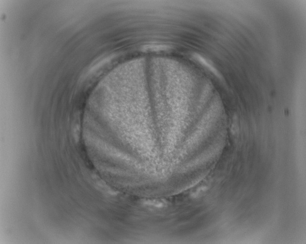 X0000066001015200603172200