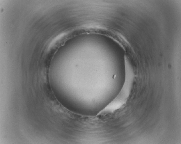 X0000066001016200603172200