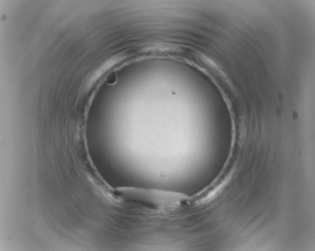 X0000066001017200603172200