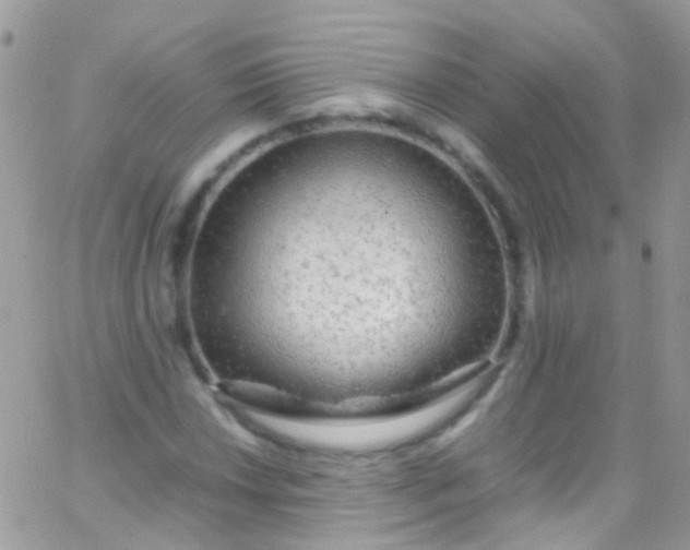 X0000066001018200603172200