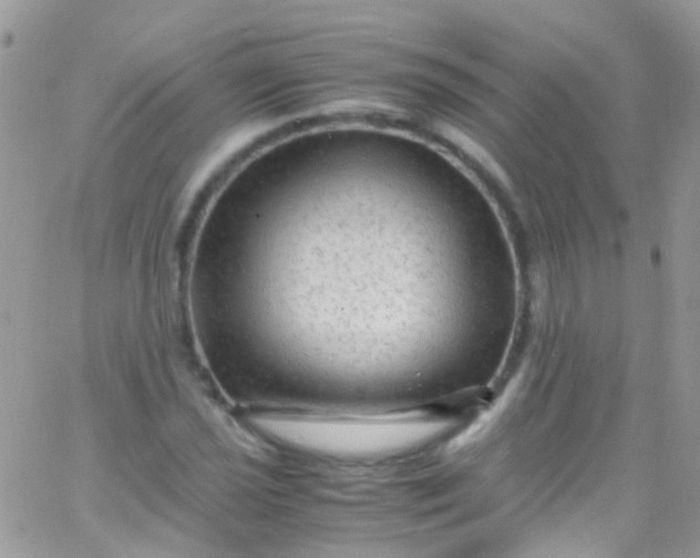 X0000066001021200603172200