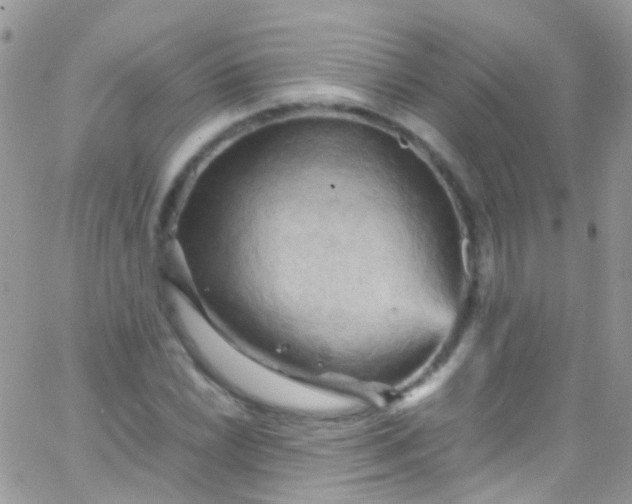 X0000066001022200603172200