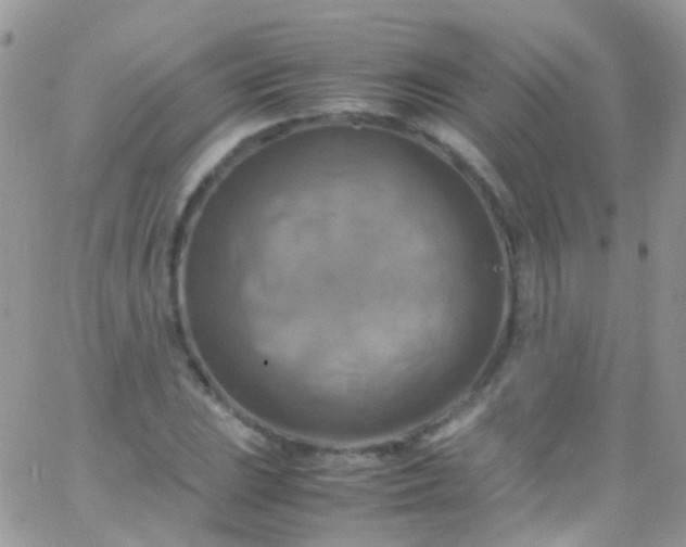 X0000066001023200603172200