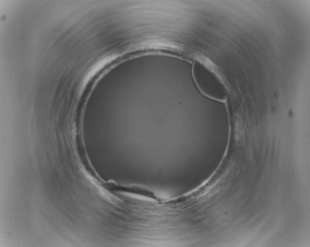 X0000066001024200603172200