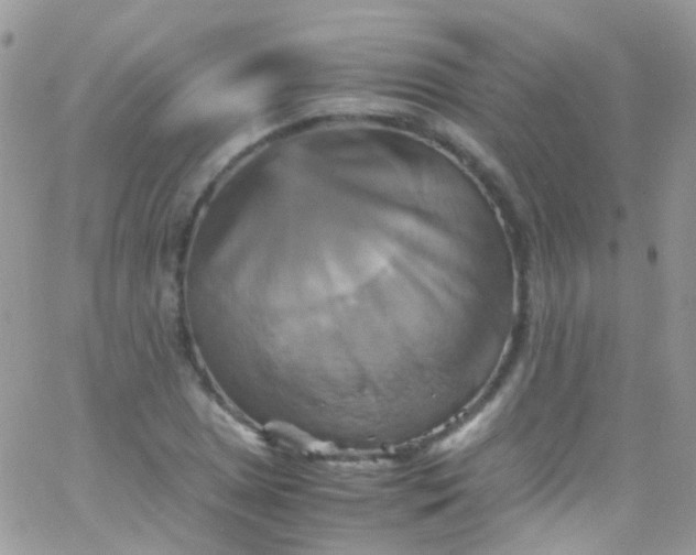 X0000066001025200603172200