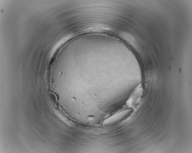 X0000066001026200603172200