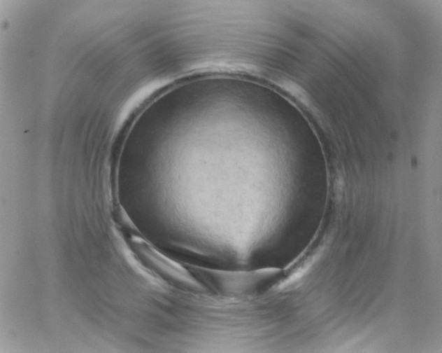 X0000066001030200603172200