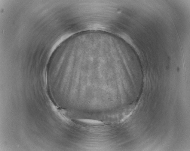 X0000066001032200603172200