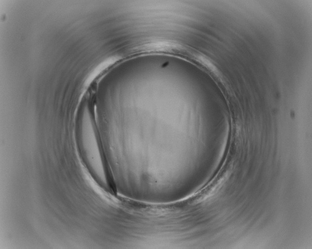 X0000066001034200603172200