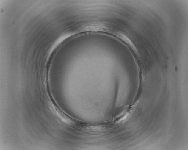 X0000066001035200603172200