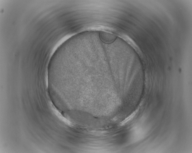 X0000066001036200603172200