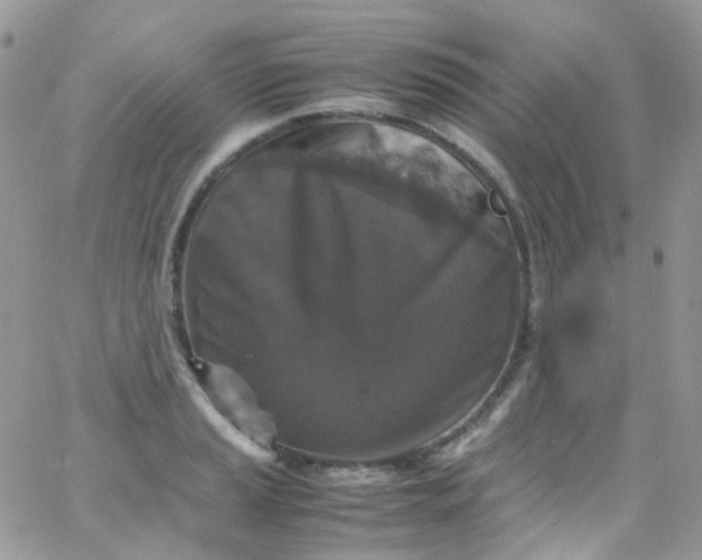 X0000066001037200603172200