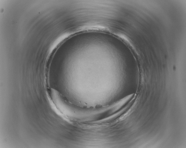 X0000066001038200603172200