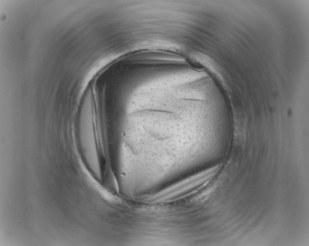 X0000066001040200603172200