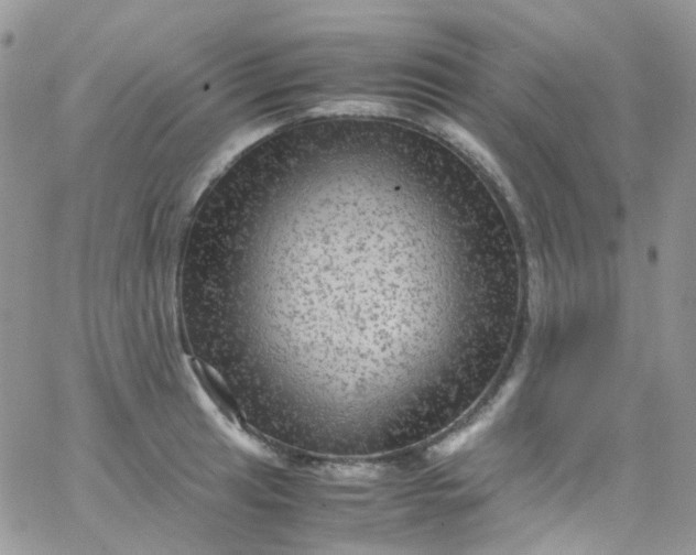 X0000066001041200603172200