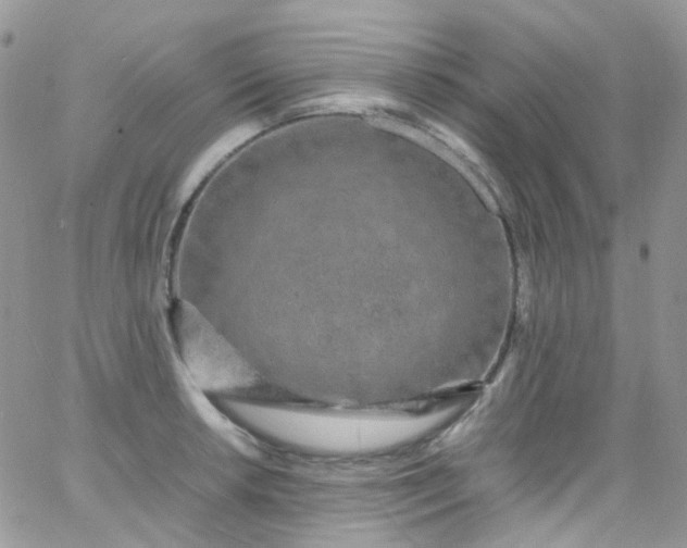 X0000066001042200603172200