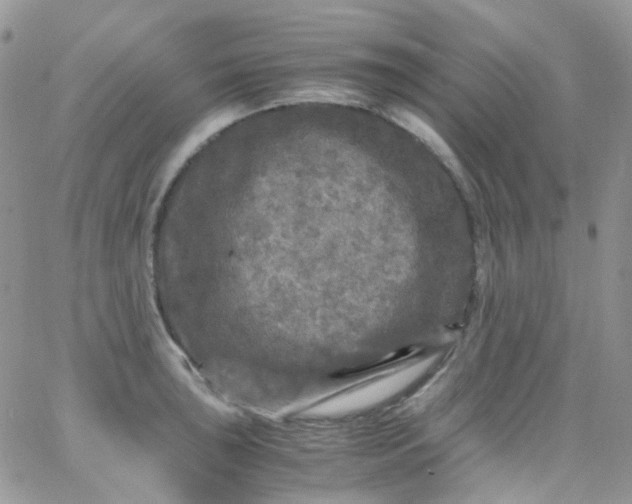 X0000066001043200603172200