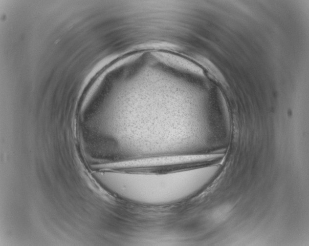 X0000066001044200603172200