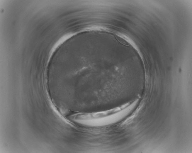 X0000066001045200603172200