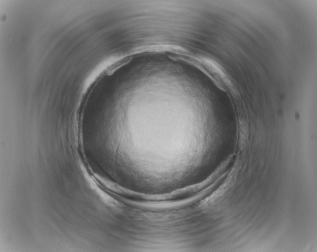 X0000066001046200603172200