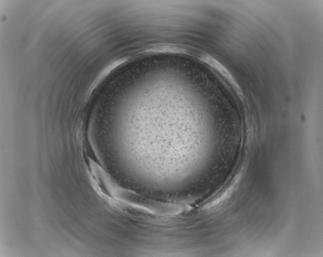 X0000066001049200603172200