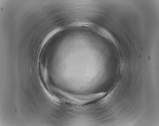 X0000066001050200603172200