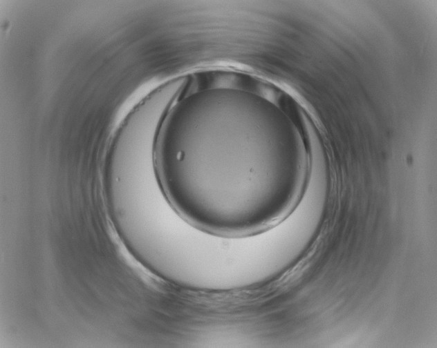 X0000066001054200603172200