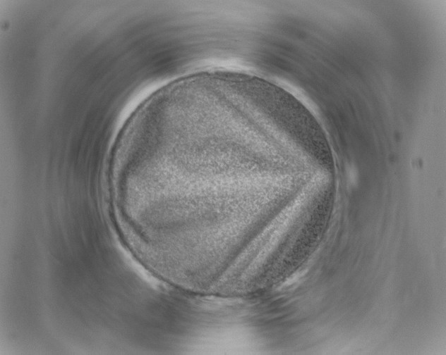 X0000066001056200603172200