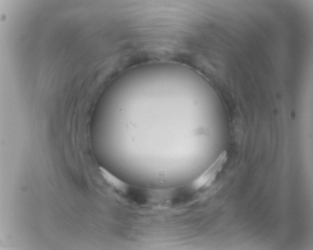 X0000066001057200603172200