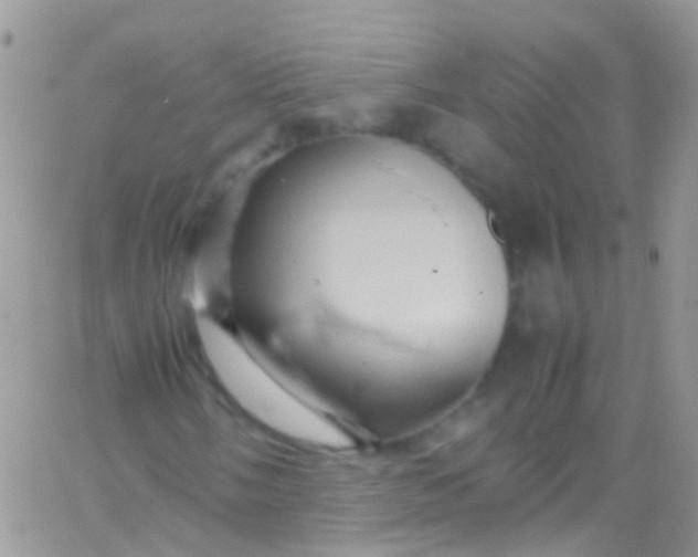 X0000066001058200603172200