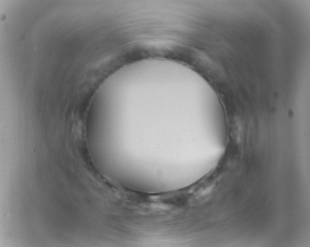 X0000066001061200603172200