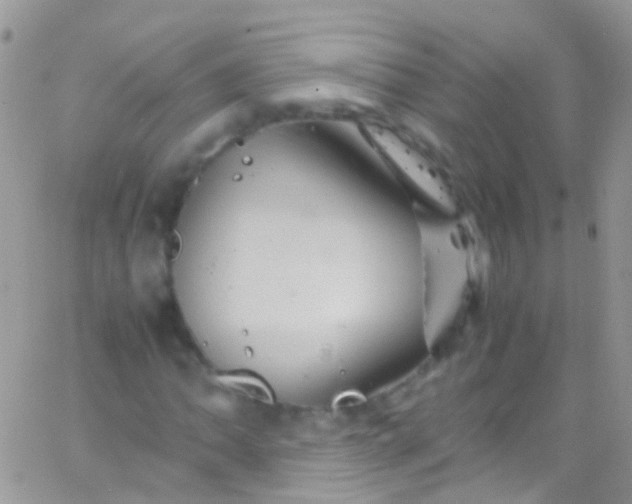 X0000066001062200603172200