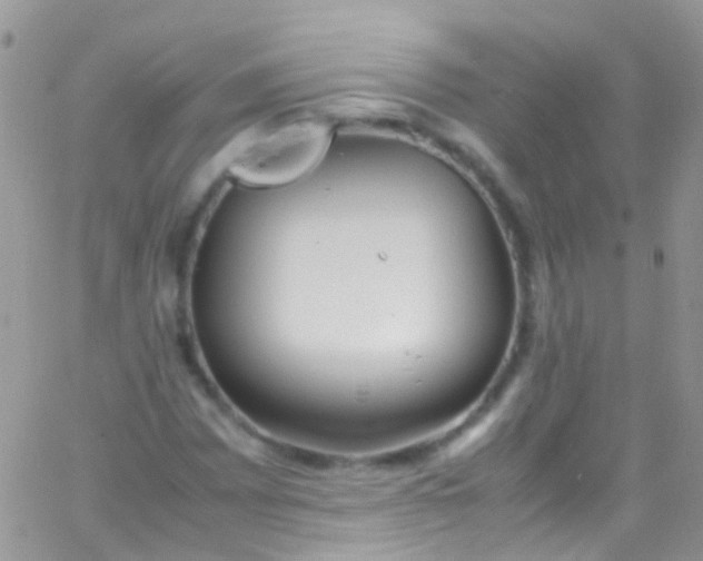 X0000066001065200603172159