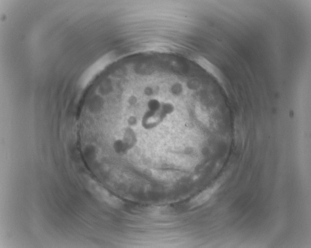 X0000066001067200603172159