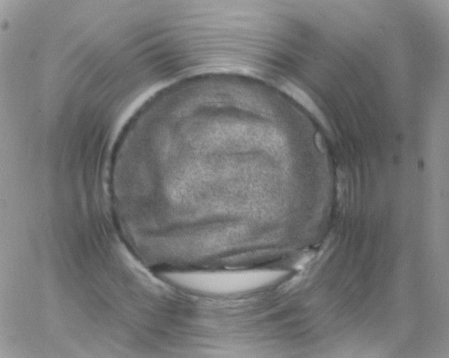 X0000066001068200603172159