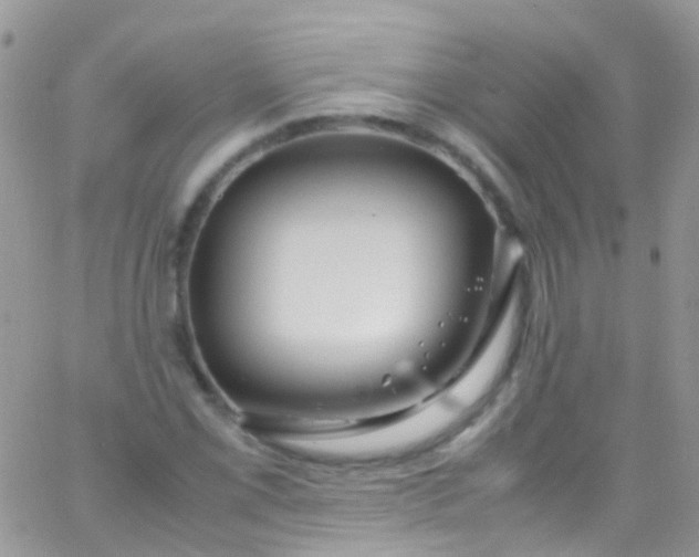 X0000066001069200603172159