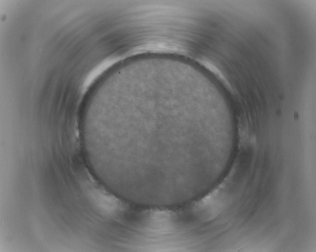 X0000066001070200603172159