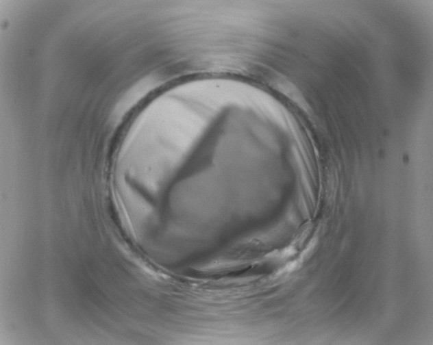 X0000066001071200603172159