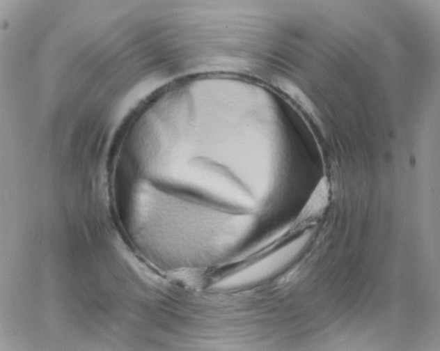 X0000066001072200603172159