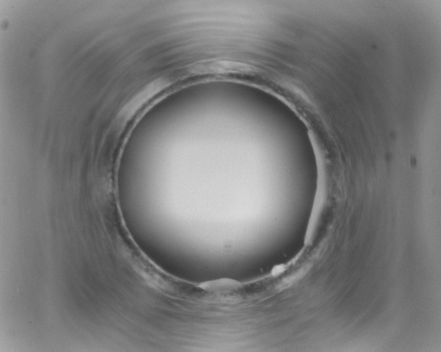 X0000066001073200603172159