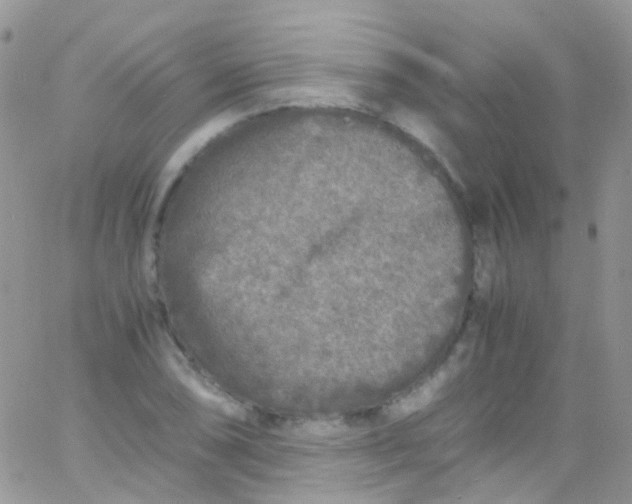 X0000066001074200603172159