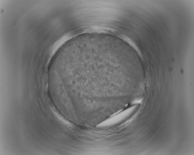 X0000066001075200603172159